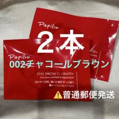 新品未開封〈リフィル〉×２本〈◆002チャコール〉パピリオ ステイブロウ Gのサムネイル