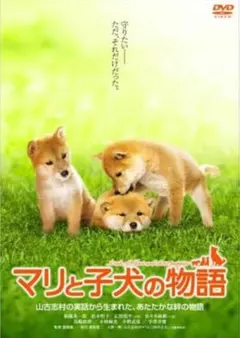 マリと子犬の物語 DVD