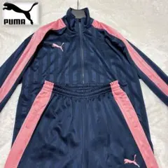 ✨希少カラー✨ プーマ ビッグロゴ セットアップ ピンク 上下 S プージャ