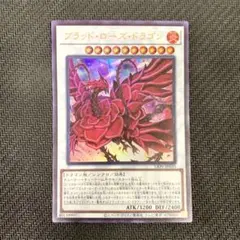 2025年最新】ブラッドローズドラゴンの人気アイテム - メルカリ