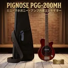 Pignose PGG Travel Bass アンプ内蔵 - メルカリ