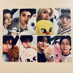 straykids トレカセット　skzoo celebrATE 絵柄