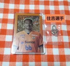 Item thumbnail for item ac6992be-73ea-4ebe-afd2-93f584a9ab90