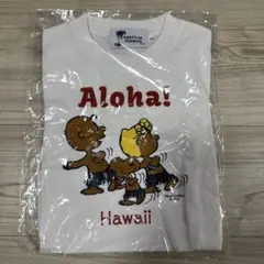 レア美品】SURF