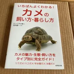 Item thumbnail for item e46827ef-1c7d-4484-a81f-0796870bf985