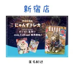 バラ売り可】 にゃんずトレカ 渋谷公園通り どきどきバレンタイン 2026