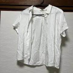 Item thumbnail for item 2bd558c5-abe5-479e-a3f9-9581c34e56b1