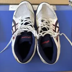 Item thumbnail for item 28196e96-d9a0-4fb4-a20c-0de2c34013f8