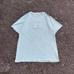 希少】old stussy tshirt 黒タグ短丈 cityboy - メルカリ