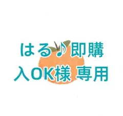 はる♪即購入OK様 専用