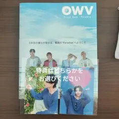 Item thumbnail for item a2825929-7aaf-42d4-91a3-c064ef86f10c