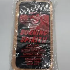 Item thumbnail for item 5dafe2a7-d318-463e-961d-c745f6b58334