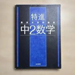 最高水準問題集 特進 中2数学