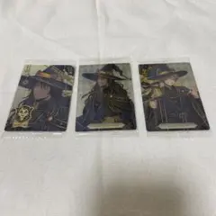 シキ様専用 サバナクロー 3枚セット