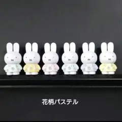テトラフィビッツ　ミッフィー　花柄パステル　６種
