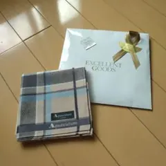 Item thumbnail for item 07b2fe36-e21b-407e-8ae5-6879e3875dc5