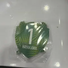 鹿島アントラーズ マグネット