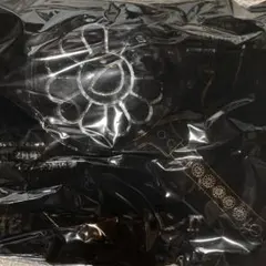 Item thumbnail for item c2bf1a42-28c7-4234-9b54-188a9e62bbbe