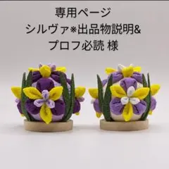 専用ページ シルヴァ※説明&プロフ必読 様