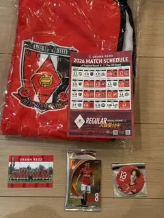 【未開封】浦和レッズ ホーム開幕戦 『熱狂開幕ブランケット』 カード シール