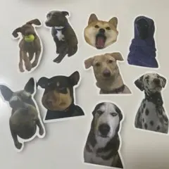 犬 ステッカー 9枚セット