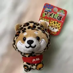 旅するマメしば ヒョウ柄 大阪限定