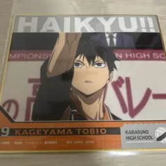 ハイキュー!! 影山飛雄 キャラクターグッズ　一番くじ　色紙　日向翔陽セット