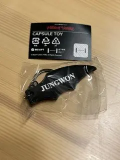 ENHYPEN house of vampire ジョンウォン キーリング