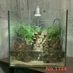 2025年最新】滝の苔テラリウムの人気アイテム - メルカリ