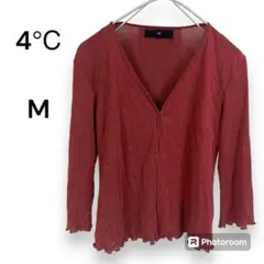 Item thumbnail for item 0b807574-97f6-417c-b891-5e6e8b36d3d5