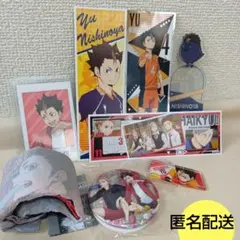 ハイキュー！！　ステッカー　ガチャ　缶バッチ　キーホルダー　西谷　即購入可