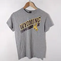 GILDAN Tシャツ 半袖 グレー S メンズ 古着 カジュアル