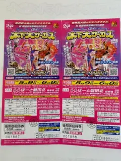 【日曜祝日OK】木下大サーカス 磐田 招待券2枚のサムネイル
