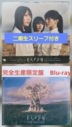 あ*お様 櫻坂46 5th Anniversary 5thアニラ トートバッグ - メルカリ