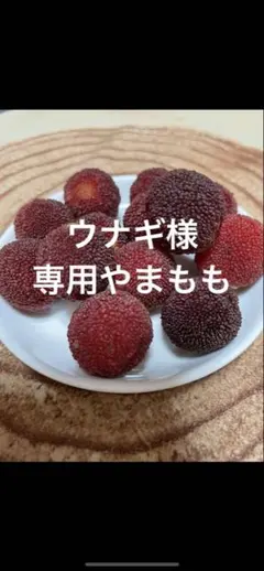 ウナギ様専用やまもも