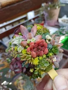 ちいず様 リクエスト 3点 まとめ商品