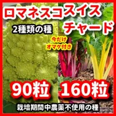みる様 リクエスト 3点 まとめ商品