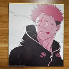 アニメーション 呪術廻戦展 ミニ色紙 虎杖悠仁 渋谷事変