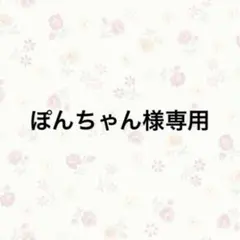 ぽんちゃん様 リクエスト 2点 まとめ商品