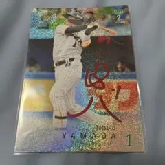 2026年最新】山田哲人 サインカードの人気アイテム - メルカリ