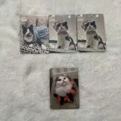 Item thumbnail for item b931afed-d491-4d3f-a492-97a23134ef98