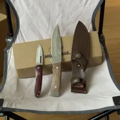 Item thumbnail for item a7077133-23dc-4182-962b-a990ccddd481