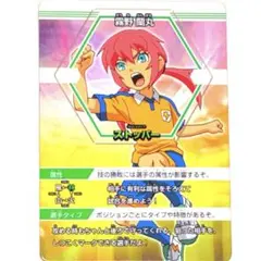 イナズマイレブン カード 菜花黄名子 in2899 - メルカリ