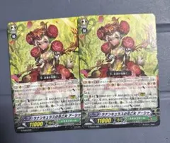 2025年最新】ラナンキュラスの花乙女アーシャの人気アイテム - メルカリ