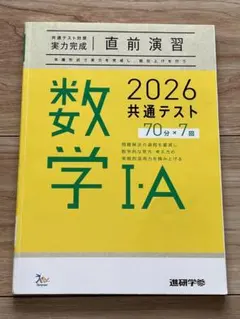 イリヤ様 リクエスト 2点 まとめ商品