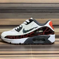 Nike Air Max 90 G NRG ゴルフ　29.0 中古 Nike Air Max 90 Golf NRG Torrey Pines for Sale