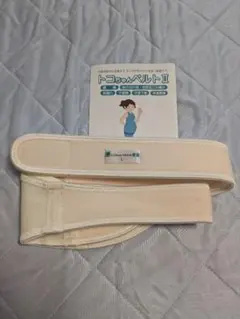 Item thumbnail for item 86f8d2fd-beaf-432f-9409-5cf5eb2fac4a