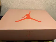 Travis Scott × Nike Air Jordan6 30センチ