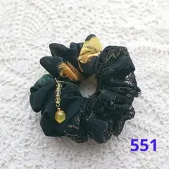 シュシュ 551