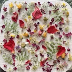 No,957 特小小花ミックス ドライフラワー花材 - メルカリ